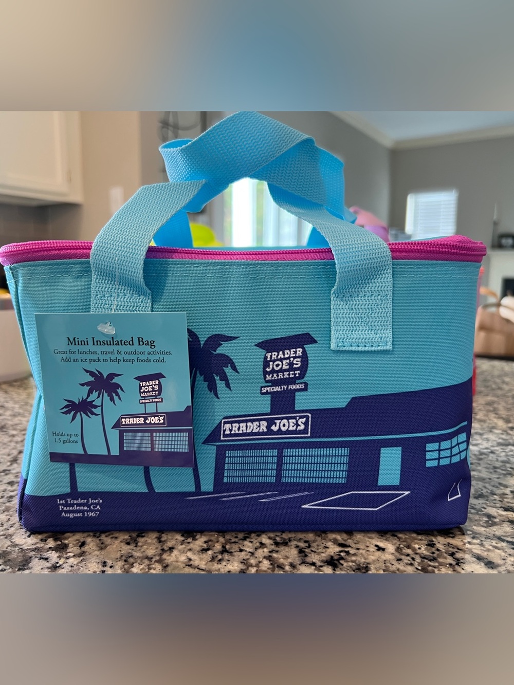 Trader Joe's 2026 Blue and Pink Mini Cooler, insulated cooler tote NWT